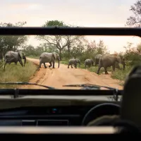 Luxury Travel Safari South Africa