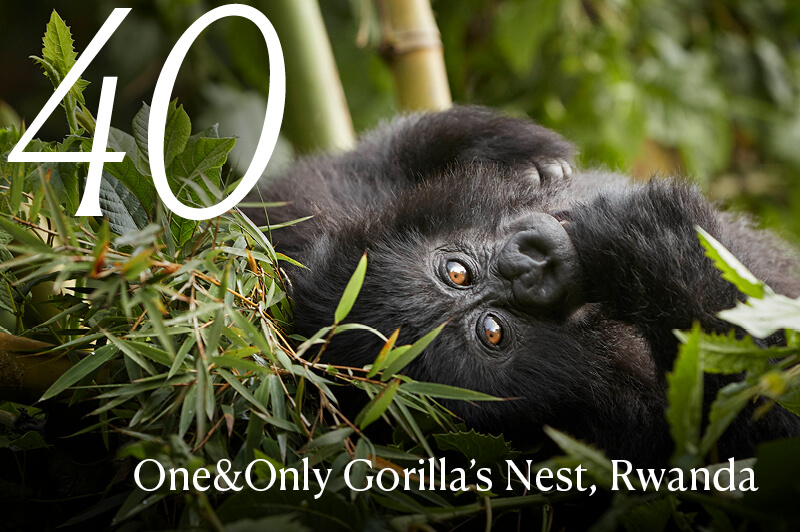 One&Only Gorilla’s Nest, Rwanda, luxury travel