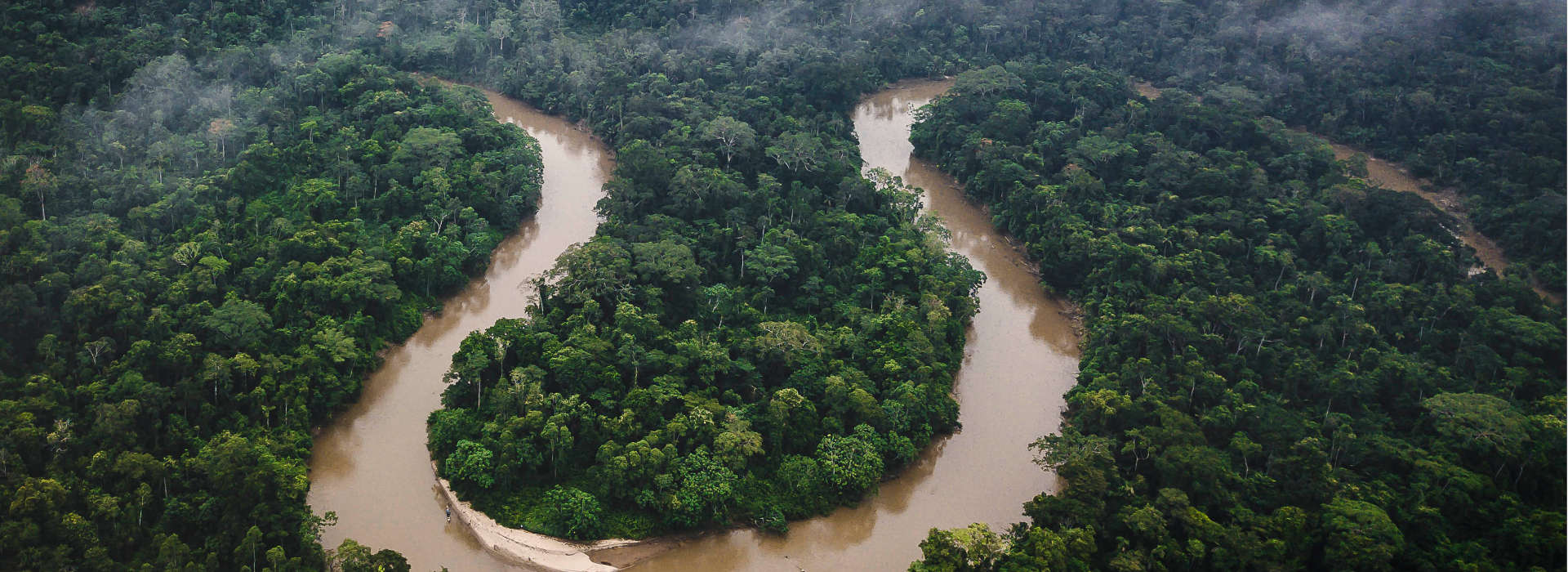 Amazon from above. Credit: Getty Images