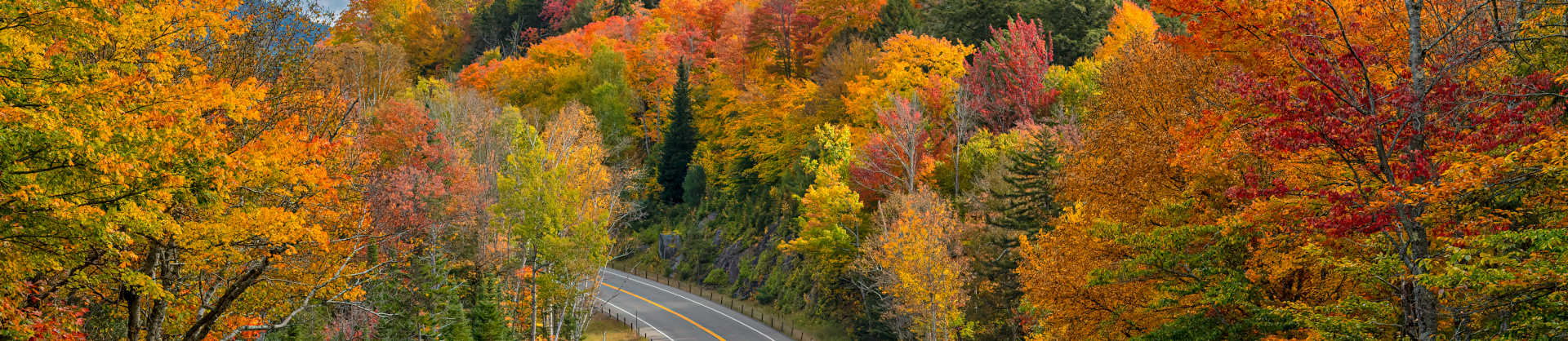 Upstate New York. Credit: Getty Images