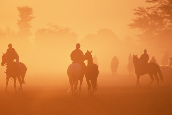 Early morning with the horses. Credit: Getty Images