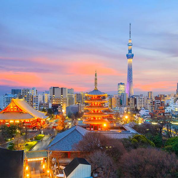 Tokyo skyline at sunset