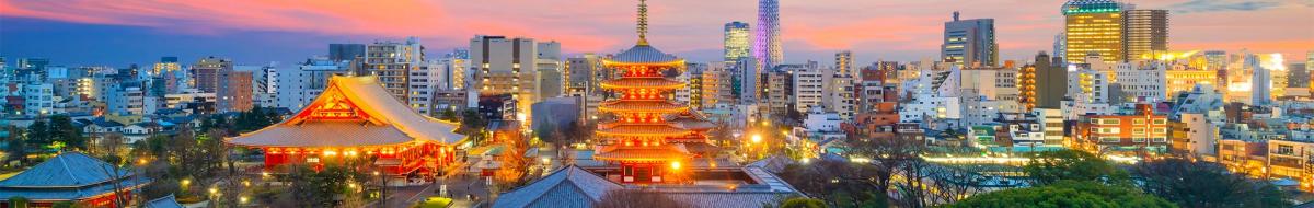 Tokyo skyline at sunset