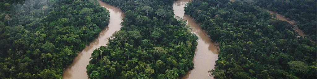 Amazon from above. Credit: Getty Images