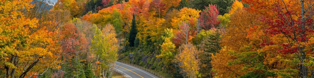Upstate New York. Credit: Getty Images