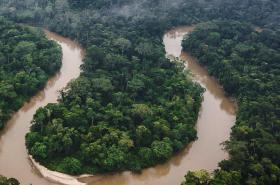 Amazon from above. Credit: Getty Images