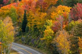 Upstate New York. Credit: Getty Images