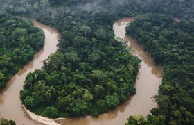 Amazon from above. Credit: Getty Images